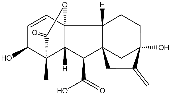 赤霉素GIBBERELLIC ACID，居然有這么神奇？